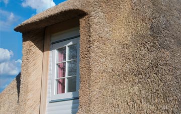 Genesis Green thatch roof disadvantages