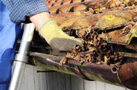 Genesis Green gutter cleaners