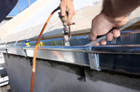 free Genesis Green fascia quotes